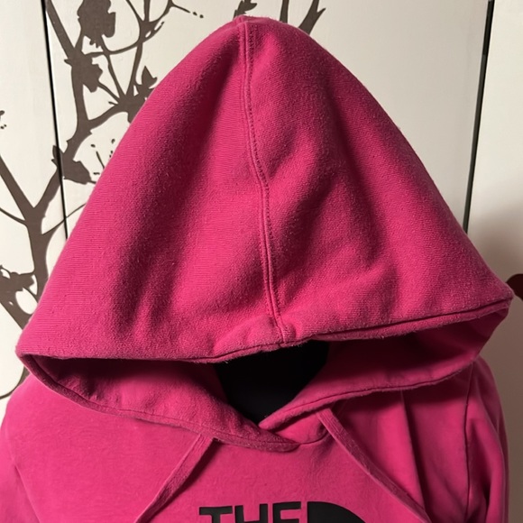 THE NORTH FACE Magenta Pink Size XS Cozy Pullover Hoodie PRICE DROP‼️$45 - Picture 5 of 15